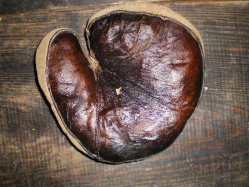 Folk Art Catchers Mitt Front